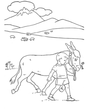 Disegno di asino da stampare e colorare 27