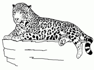 Disegno di leopardo da stampare e colorare 38