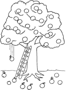 Disegno di albero da frutta da stampare e colorare 21