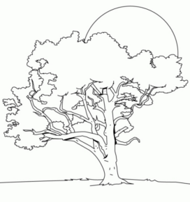 Disegno di albero da stampare e colorare 23