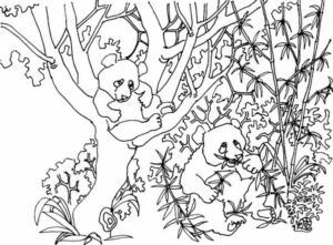 Disegno di panda da stampare e colorare 16