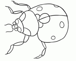 Disegno di coccinella da stampare e colorare 44