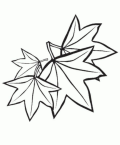 Disegno di foglia da stampare e colorare 24