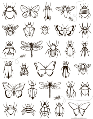 Disegno di farfalla da stampare e colorare 364