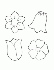 Disegno di fiore da stampare e colorare 165