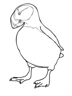 Disegno di tucano da stampare e colorare 1