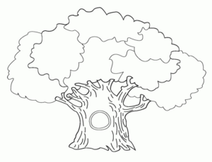 Disegno di albero da stampare e colorare 37