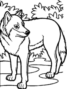 Disegno di volpe da stampare e colorare 95