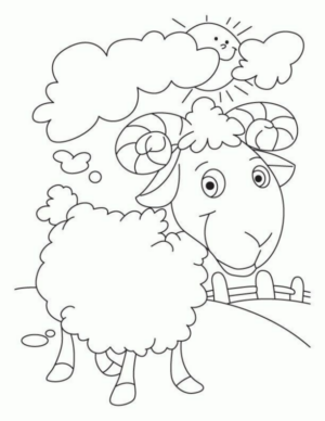 Disegno di pecora da stampare e colorare 86