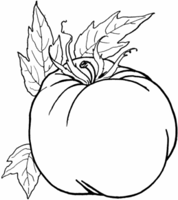 Disegno di zucca da stampare e colorare 32