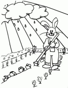 Disegno di coniglio da stampare e colorare 39
