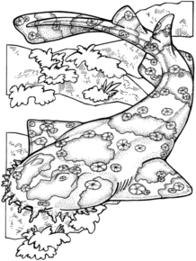 Disegno di squalo da stampare e colorare 1