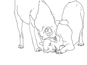 Disegno di lupo da stampare e colorare 77