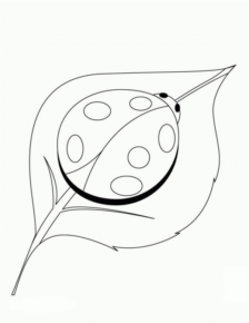 Disegno di coccinella da stampare e colorare 16