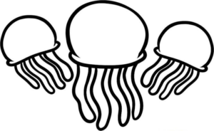 Disegno di medusa da stampare e colorare 3