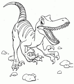 Disegno di Velociraptor da stampare e colorare 7