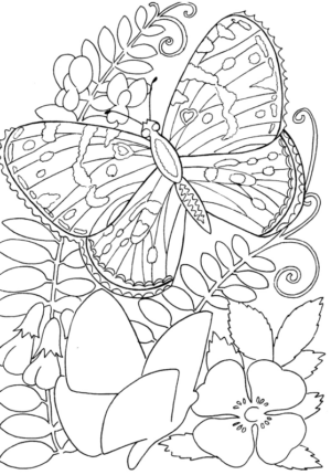 Disegno di farfalla da stampare e colorare 106