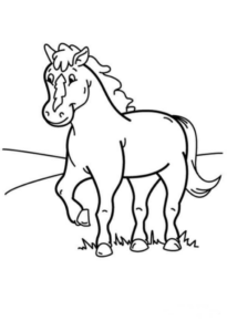 Disegno di cavallo da stampare e colorare 180