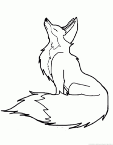 Disegno di volpe da stampare e colorare 66