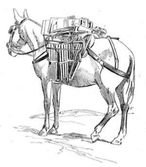 Disegno di cavallo da stampare e colorare 4