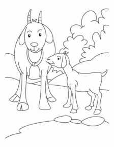 Disegno di capra da stampare e colorare 4