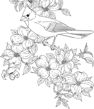 Disegno di uccello da stampare e colorare 90
