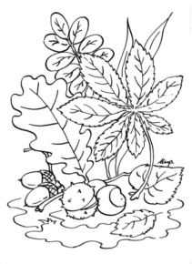 Disegno di pianta da stampare e colorare 34