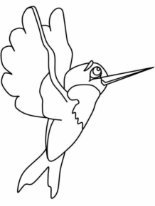 Disegno di colibr da stampare e colorare 18