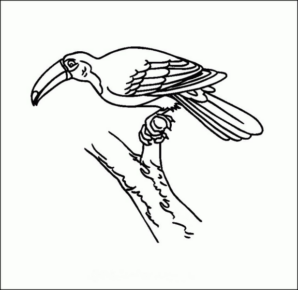 Disegno di tucano da stampare e colorare 5