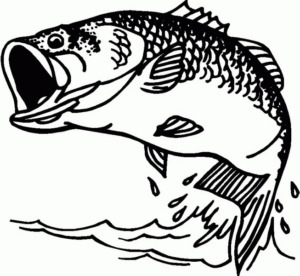 Disegno di pesce da stampare e colorare 117