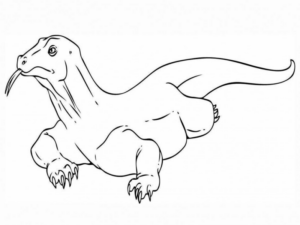 Disegno di iguana da stampare e colorare 4
