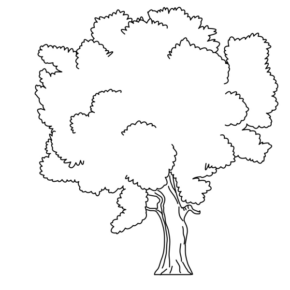 Disegno di albero da stampare e colorare 81