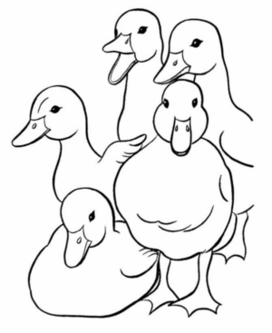 Disegno di papera da stampare e colorare 102