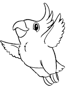 Disegno di pappagallo da stampare e colorare 164