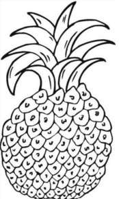 Disegno di ananas da stampare e colorare 7