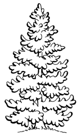 Disegno di albero di Natale da stampare e colorare 5 Disegno di albero di Natale da stampare e colorare 5