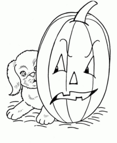 Disegno di zucca di Halloween da stampare e colorare 167