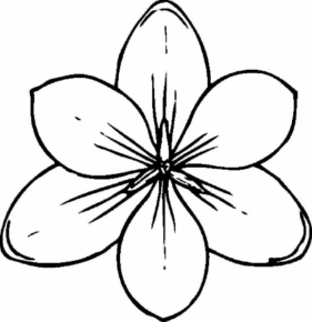 Disegno di fiore da stampare e colorare 838