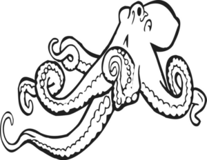 Disegno di polpo da stampare e colorare 29