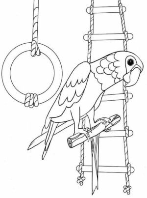 Disegno di pappagallo da stampare e colorare 148