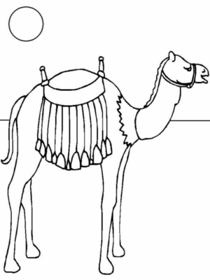 Disegno di dromedario da stampare e colorare 13