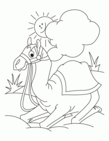 Disegno di dromedario da stampare e colorare 31