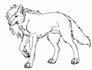 Disegno di lupo da stampare e colorare 52