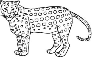 Disegno di leopardo da stampare e colorare 22