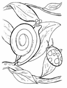 Disegno di lumaca da stampare e colorare 39