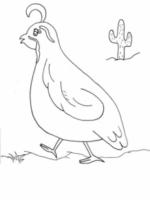 Disegno di uccello da stampare e colorare 28