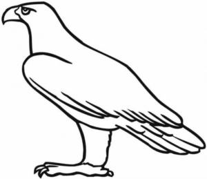 Disegno di falco da stampare e colorare 8