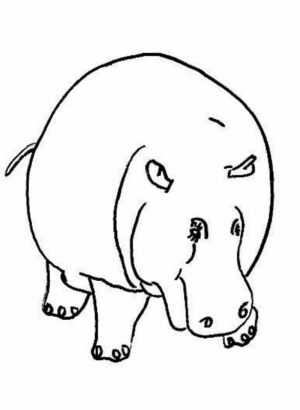 Disegno di ippopotamo da stampare e colorare 52
