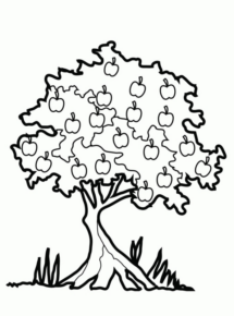 Disegno di albero da frutta da stampare e colorare 17 Disegno di albero da frutta da stampare e colorare 17