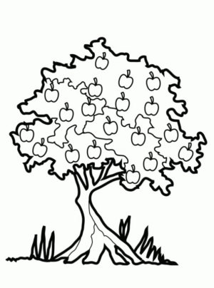 Disegno di albero da frutta da stampare e colorare 17